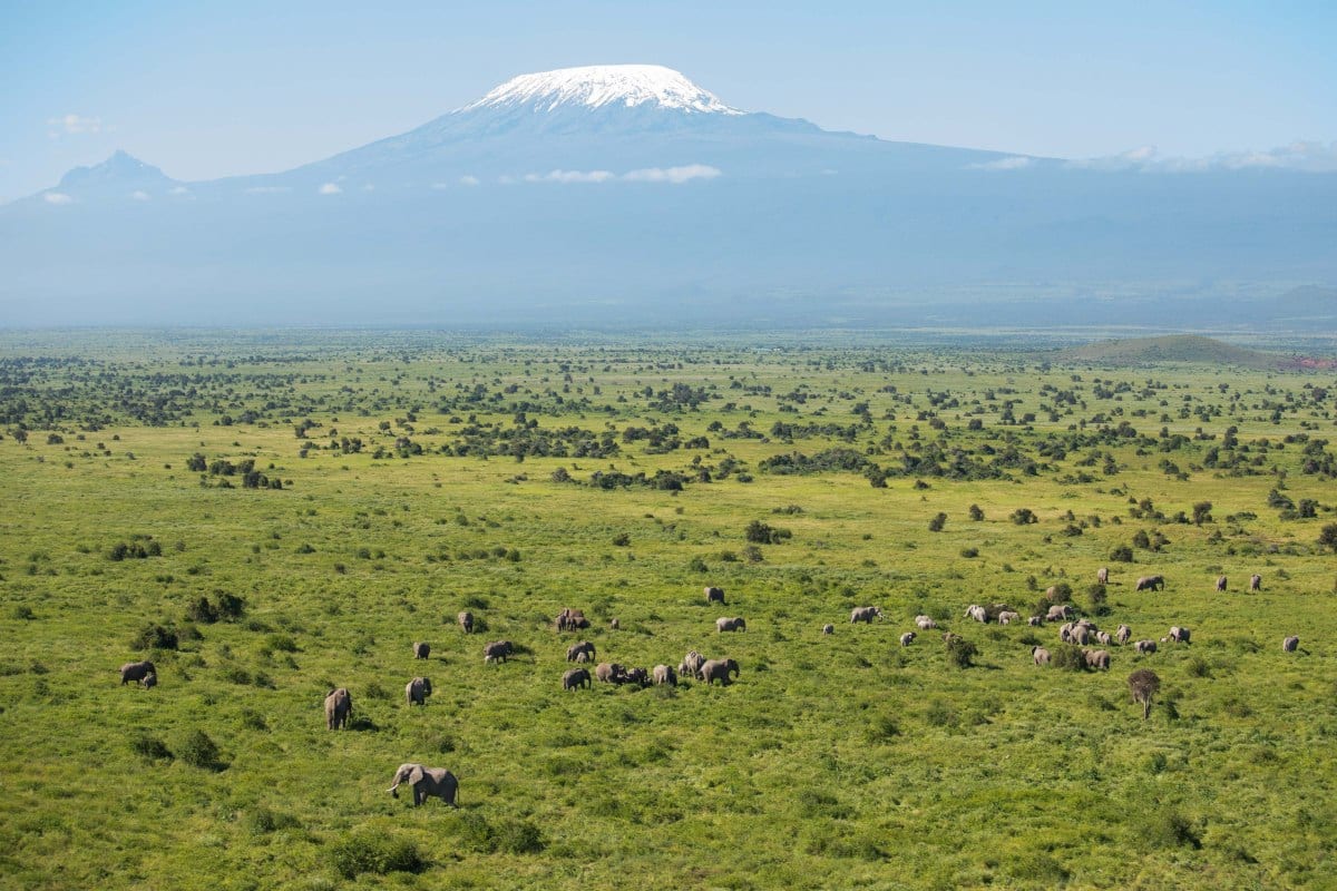 Landscape of African savannah