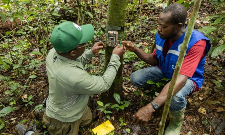 Cameroon Diversity Project volunteers at work