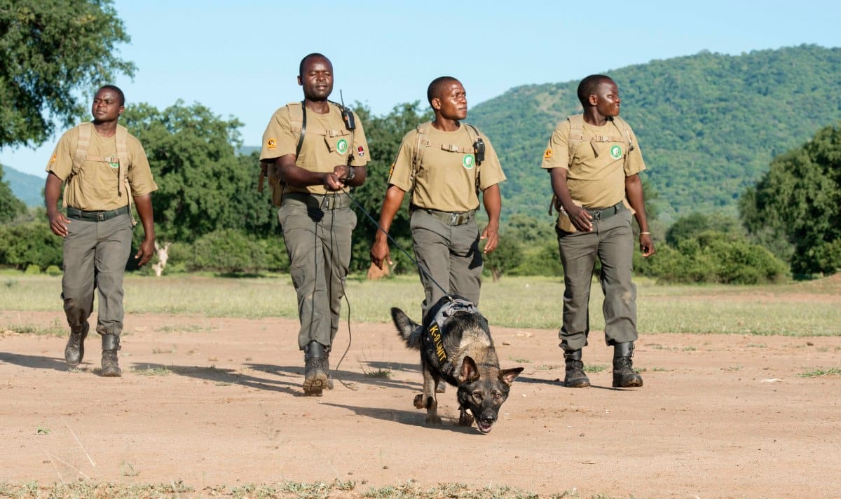 Zambia Wildlife Protection Unit