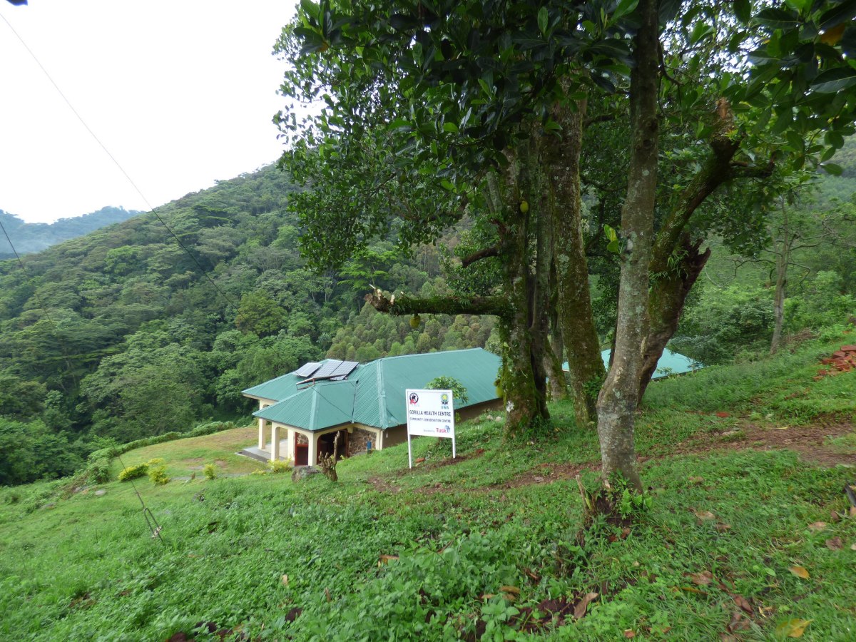 Conservation Through Public Health Uganda Gorilla Health Centre
