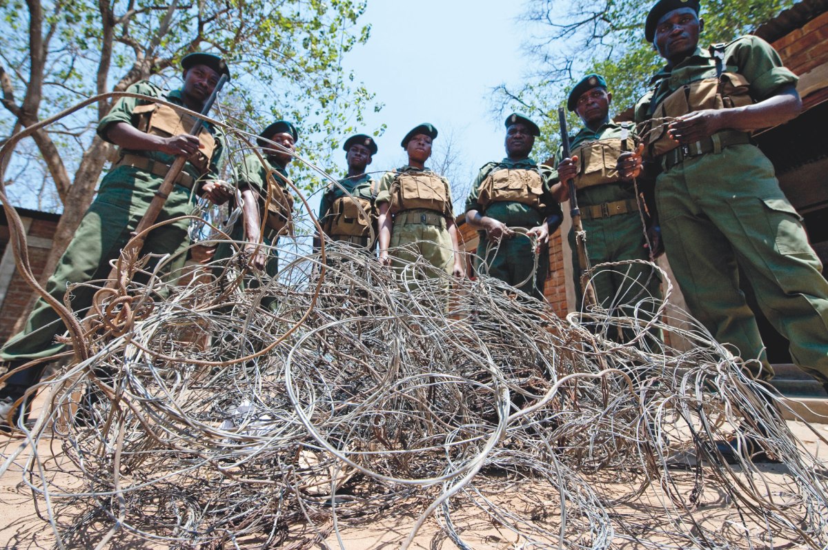 CSL Conservation South Luangwa Zambia removed snares