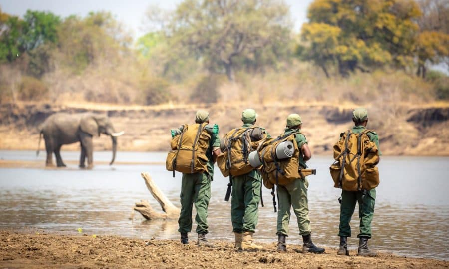 CSL rangers &amp; elephant