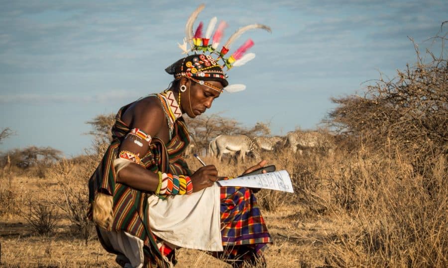 Grevy's Zebra Warrior