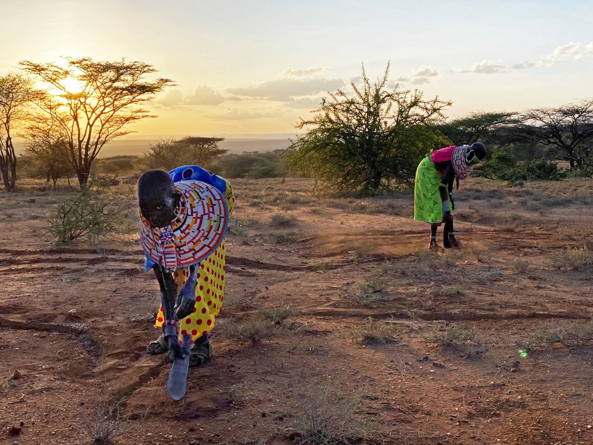 Grassland Champions plant grass seed in a degraded site