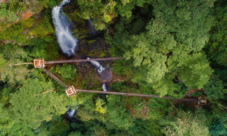 Aerial view over forest