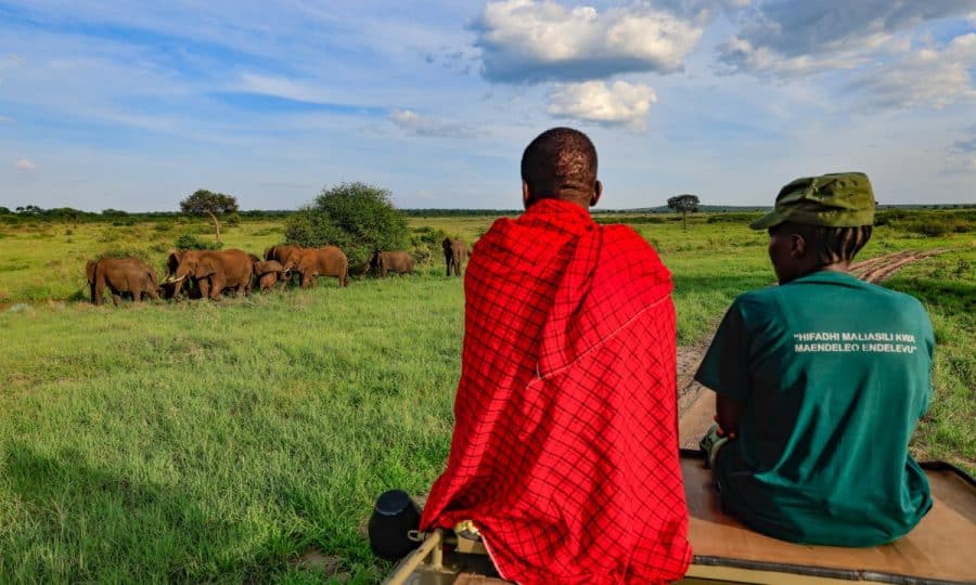 Honeyguide Foundation rangers watching elephants
