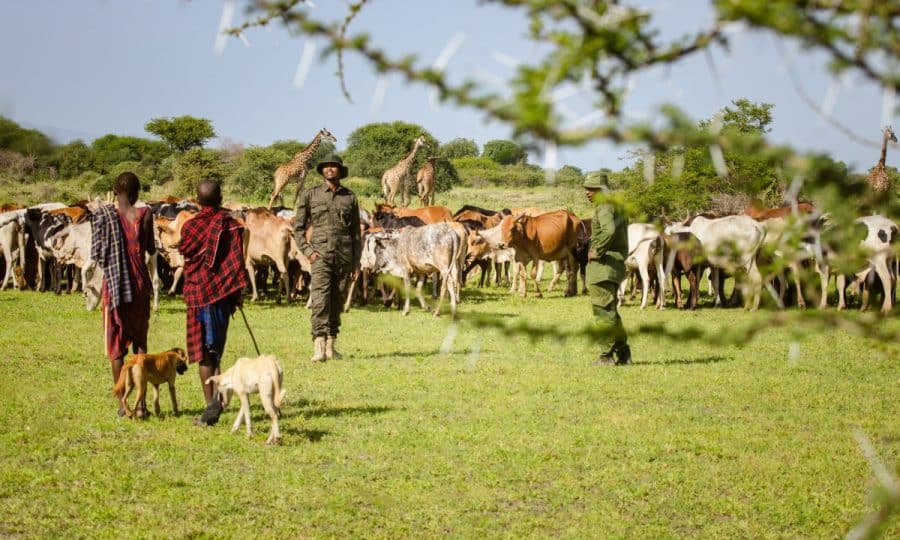 Honeyguide Foundation wildlife and people