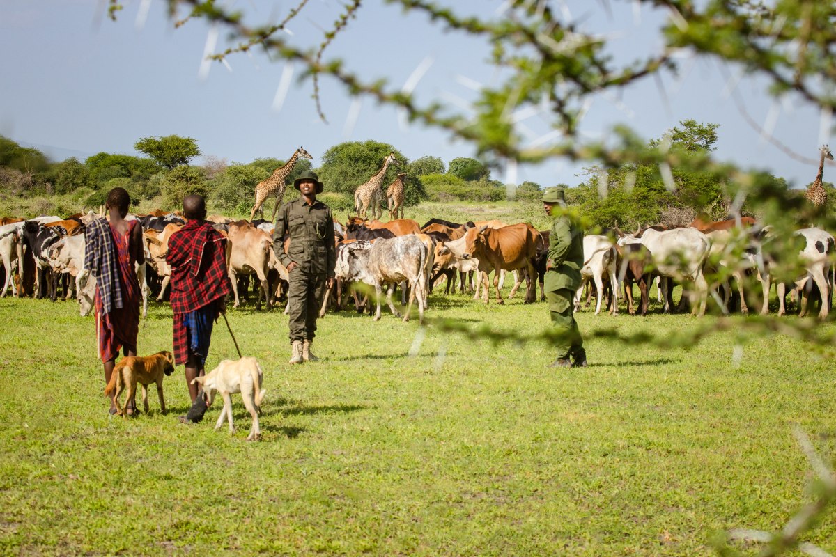 Honeyguide Foundation wildlife and people