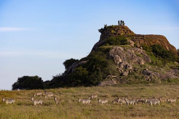 Join Tusk’s Patrons' Circle