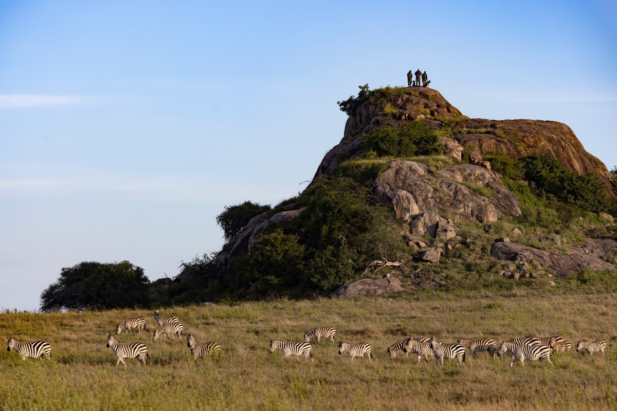 Honeyguide Foundation view from viewpoint