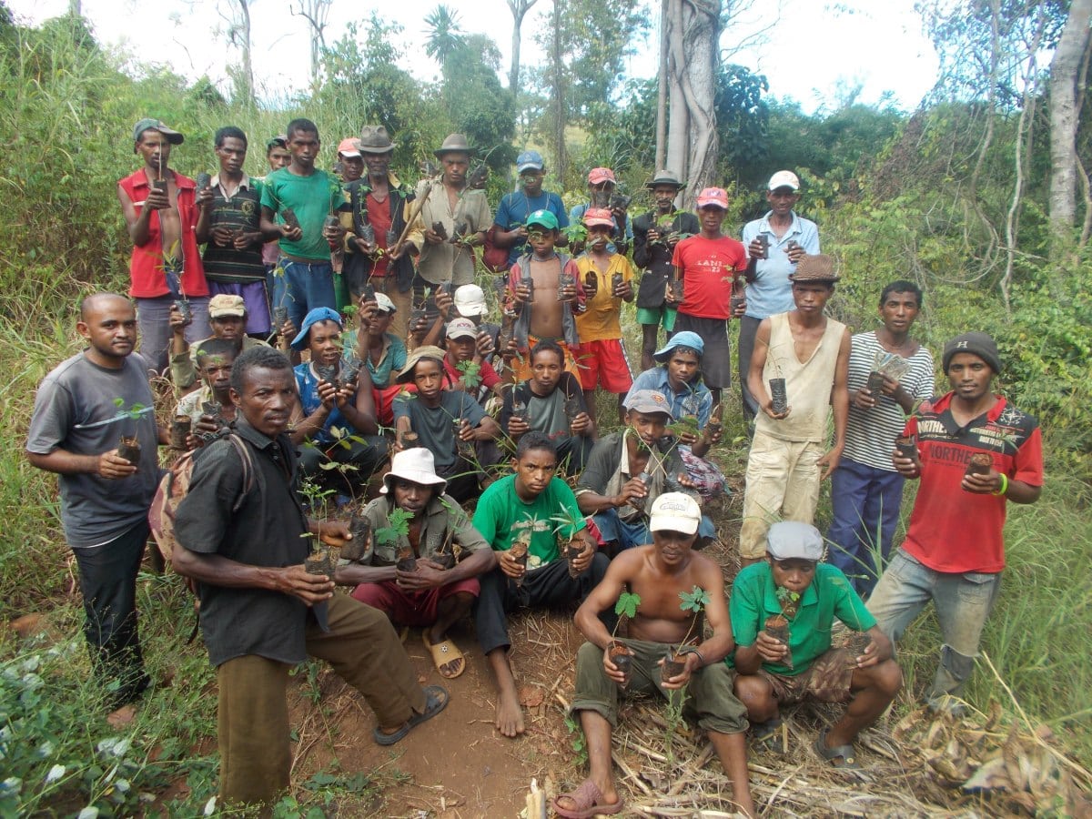 IMPACT Madagascar 2013 tree planting day