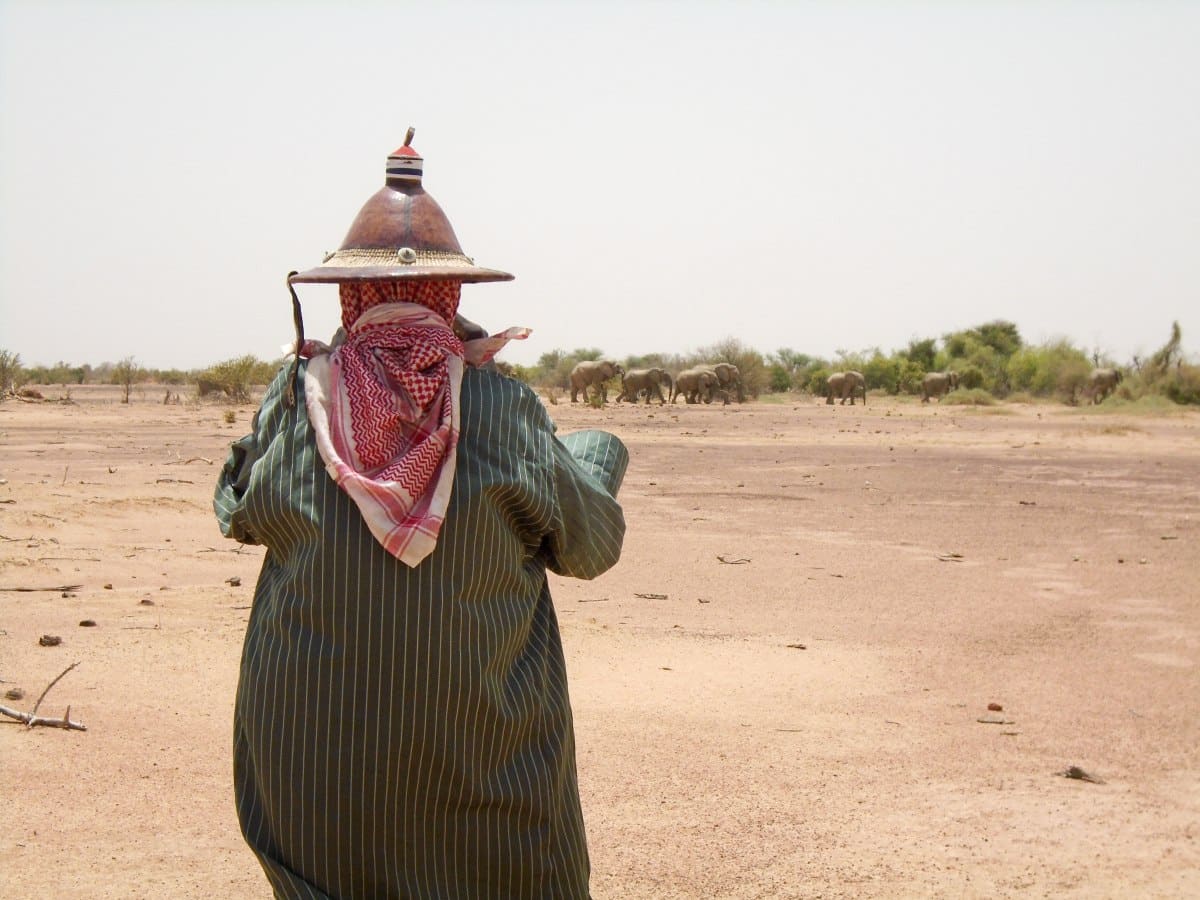 Ecoguard counting Elephants