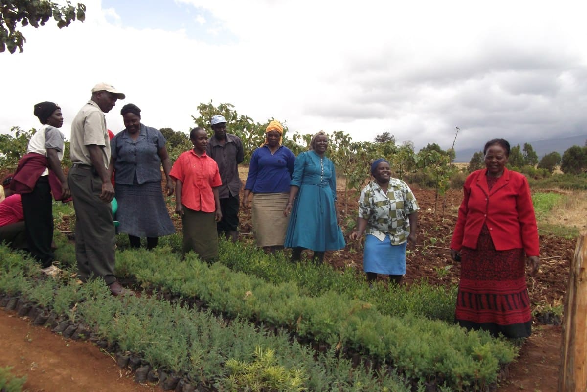 Kenya Community planting