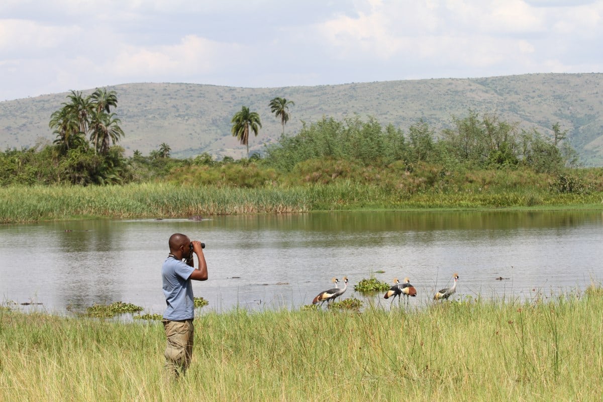 RWCA volunteer looking across the river with binoculars