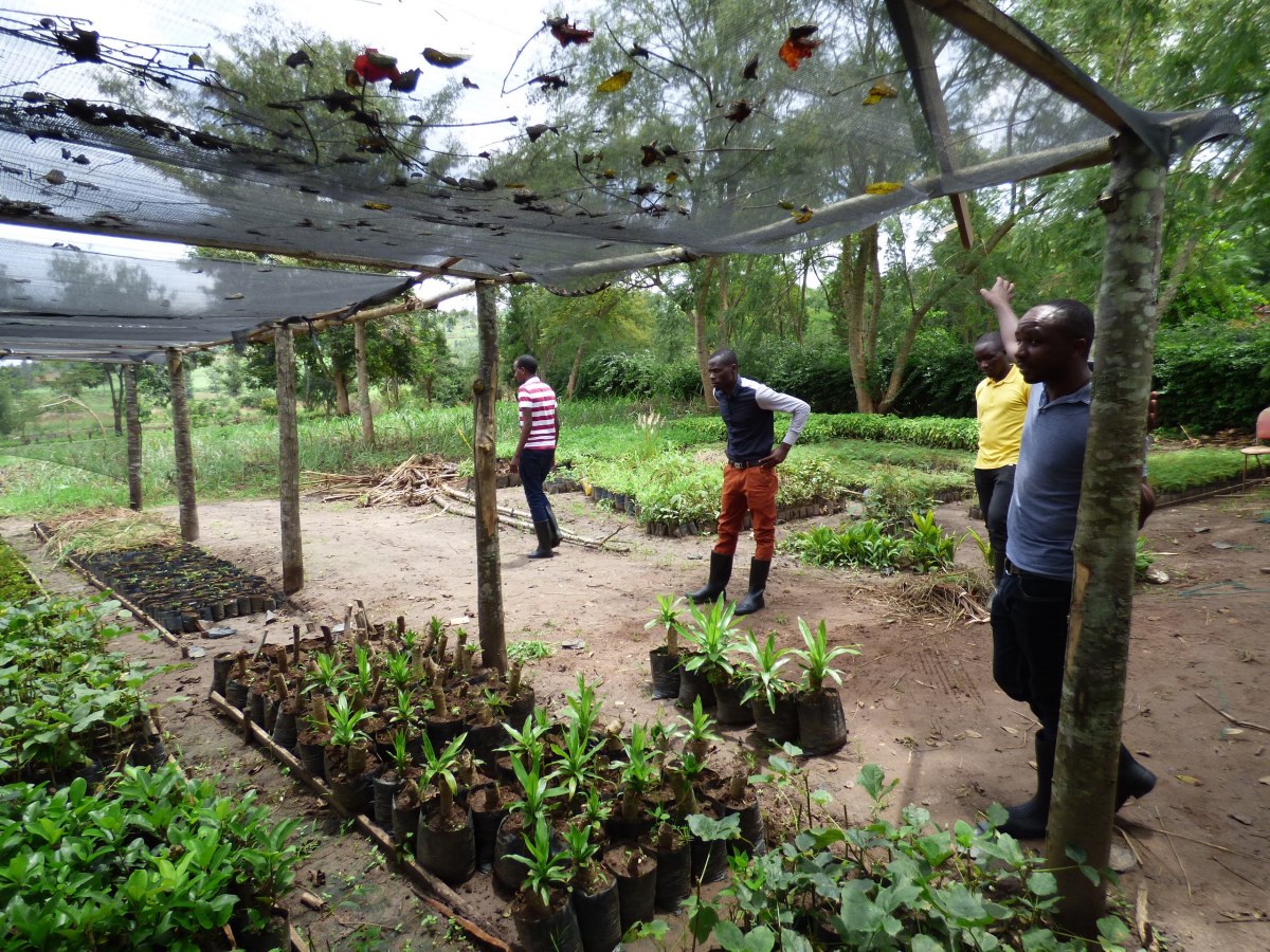 Rwanda Wildlife Conservation Association Rwanda Kigali Sanctuary site nursery workers