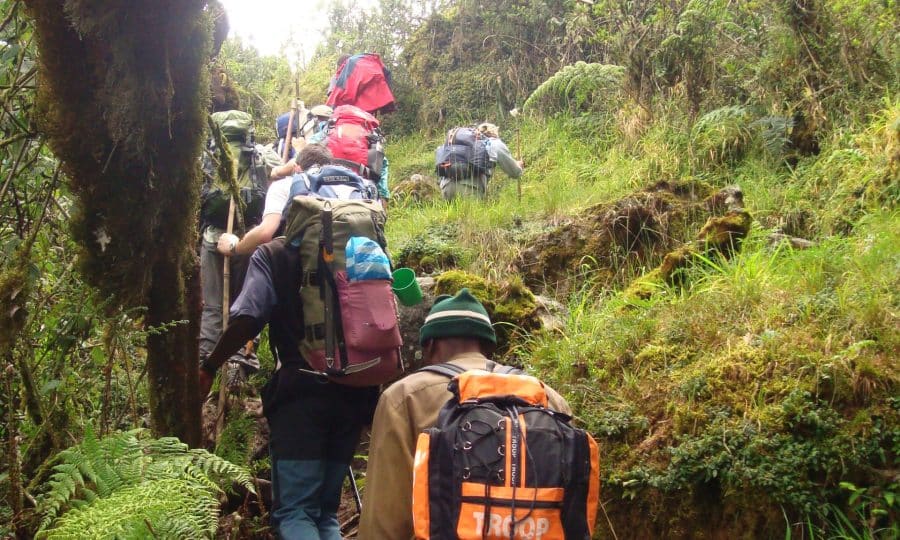 Rwenzori Mountain Challenge Trek