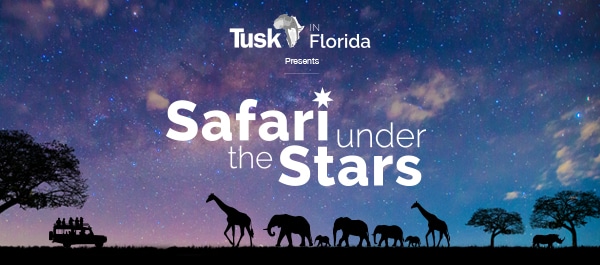 Safari under the Stars, Florida