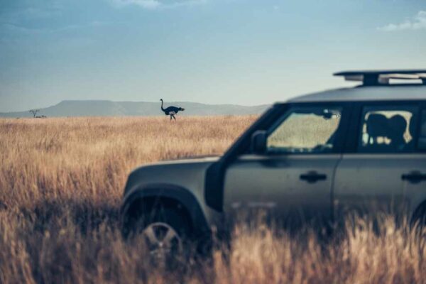 Defender car an ostrich in the background. Defender has announced an extension to its enduring partnership with leading conservation charity Tusk. The commitment, which builds on almost 20 years of collaboration, will see Defender significantly increase its support with enhanced vehicle provision and grant funding to new flagship projects. 
