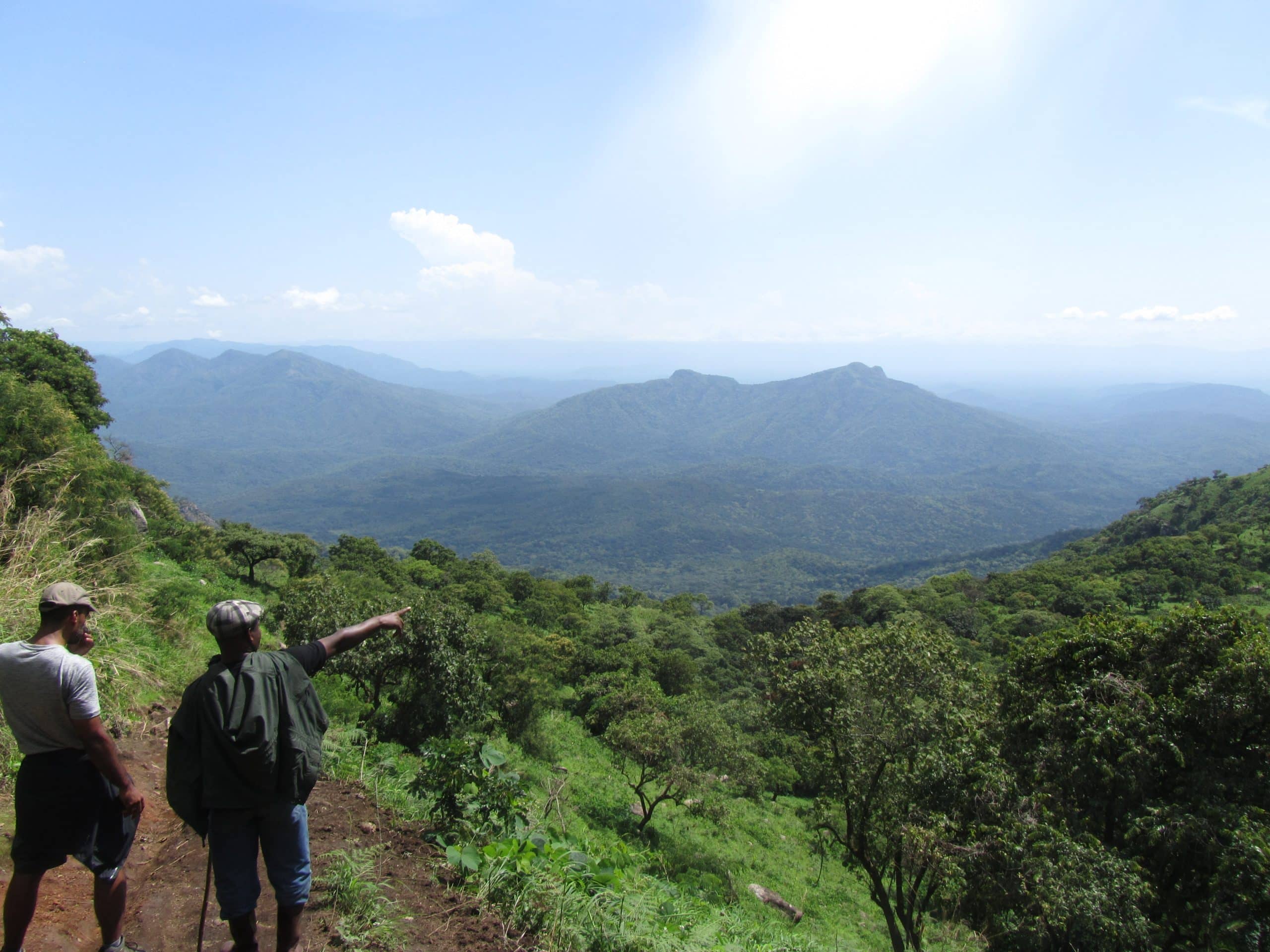 Africa Nature Investors Foundation (ANIF)-Nigeria-Rangers looking at Landscape