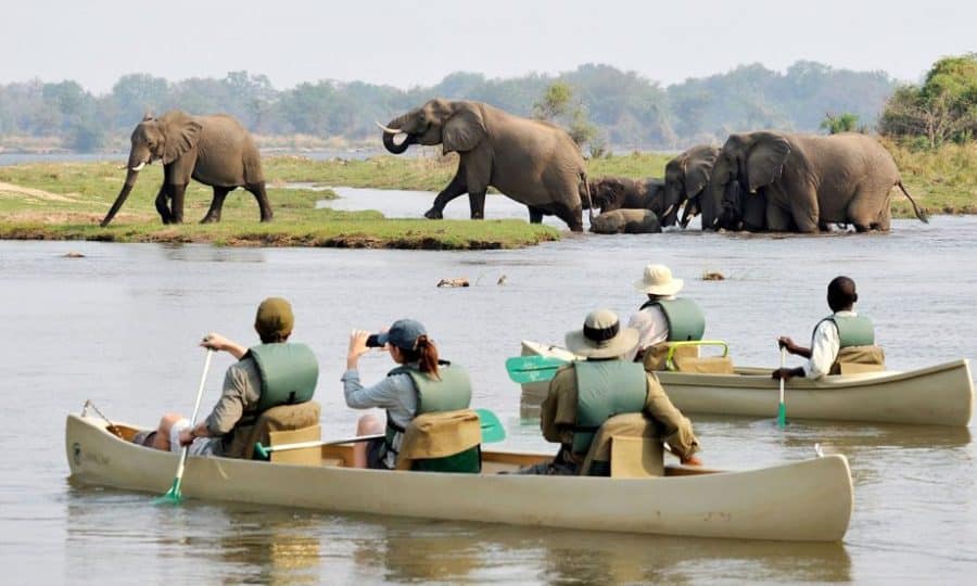 chiawa-safaris-canoeing