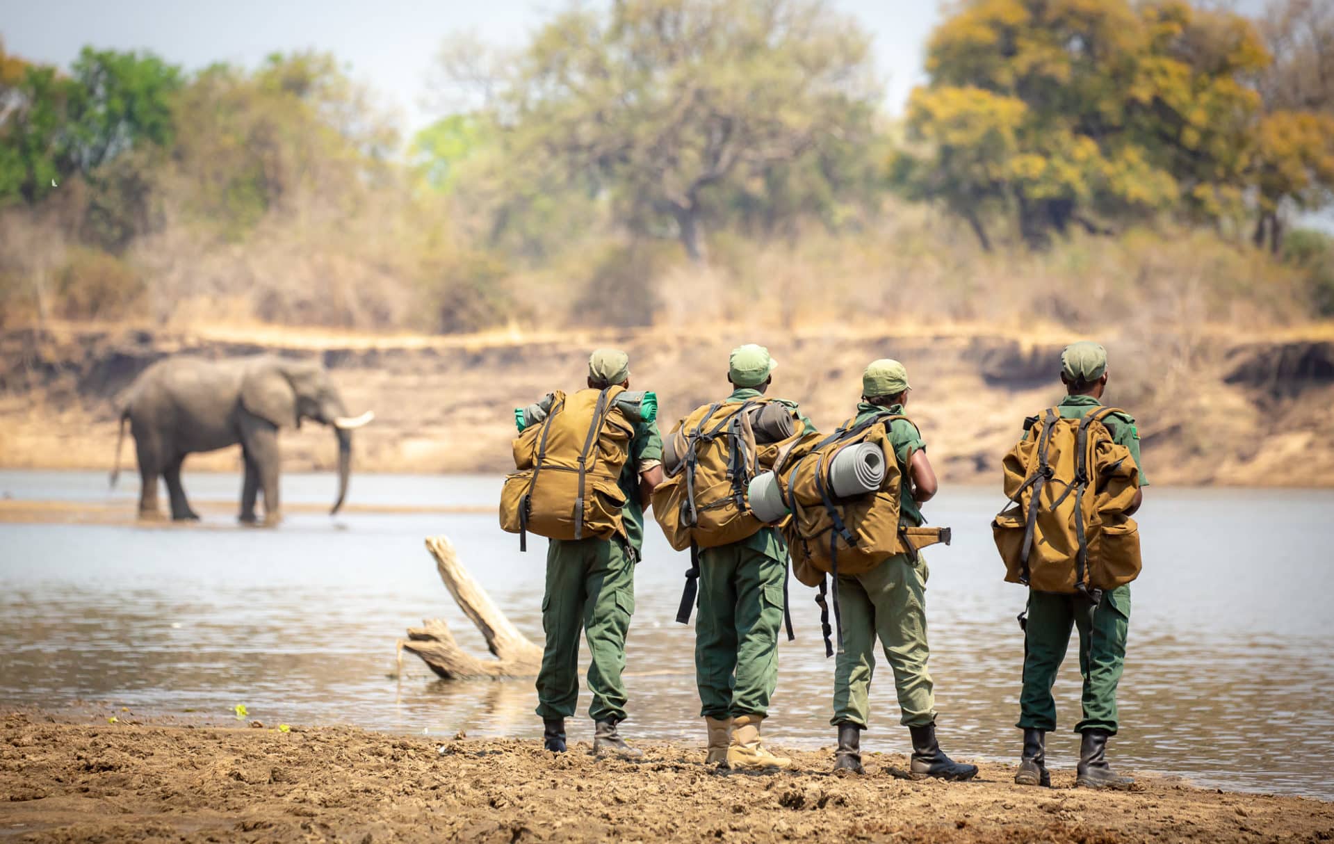 CSL Rangers & Elephant