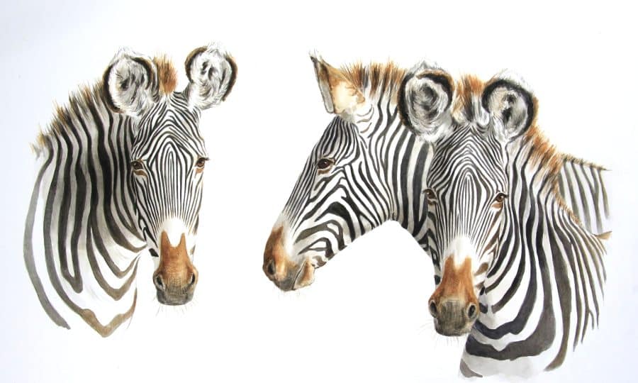 Annabel Pope Artwork for 2026 Christmas cards