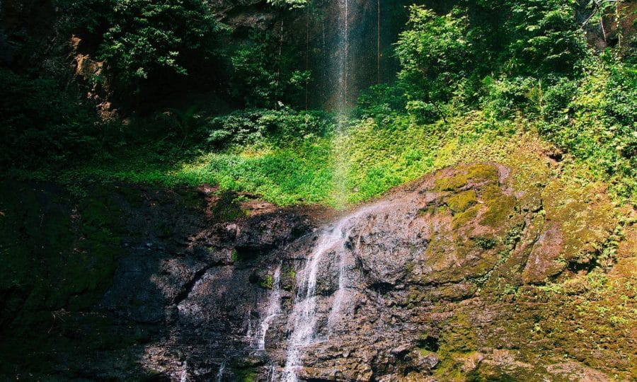Waterfall-hike-and-swim