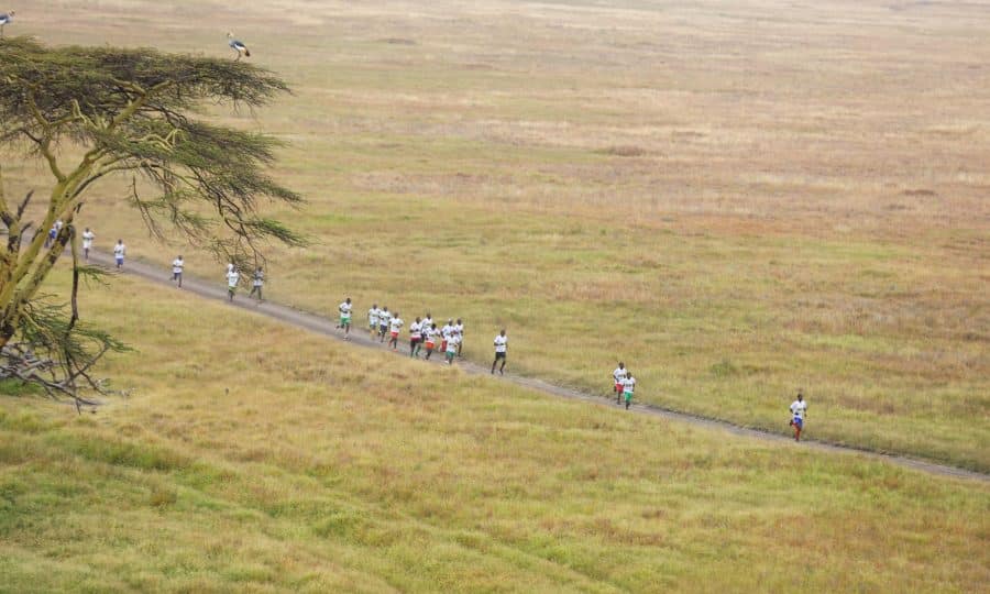 Lewa Safari Marathon runners 2023 aerial view