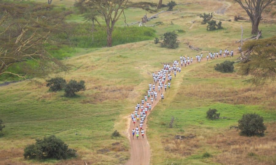 Aerial view of Lewa marathon runners Africa