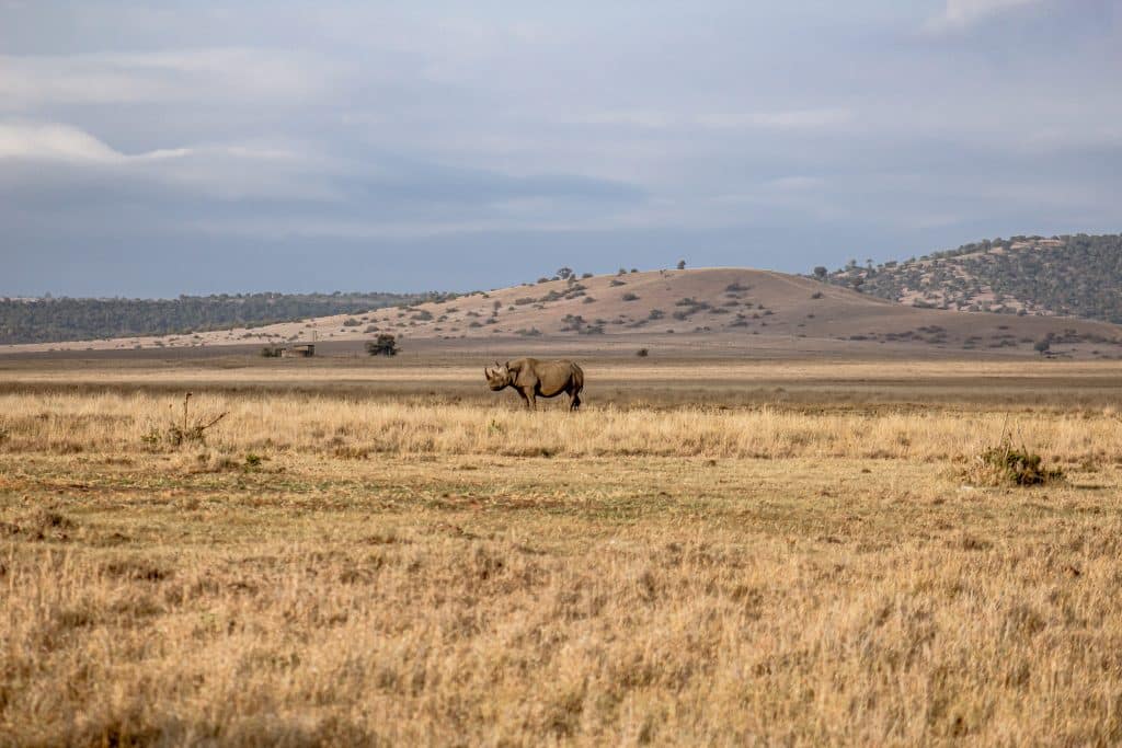 Tusk Announces Appointment of new CEO