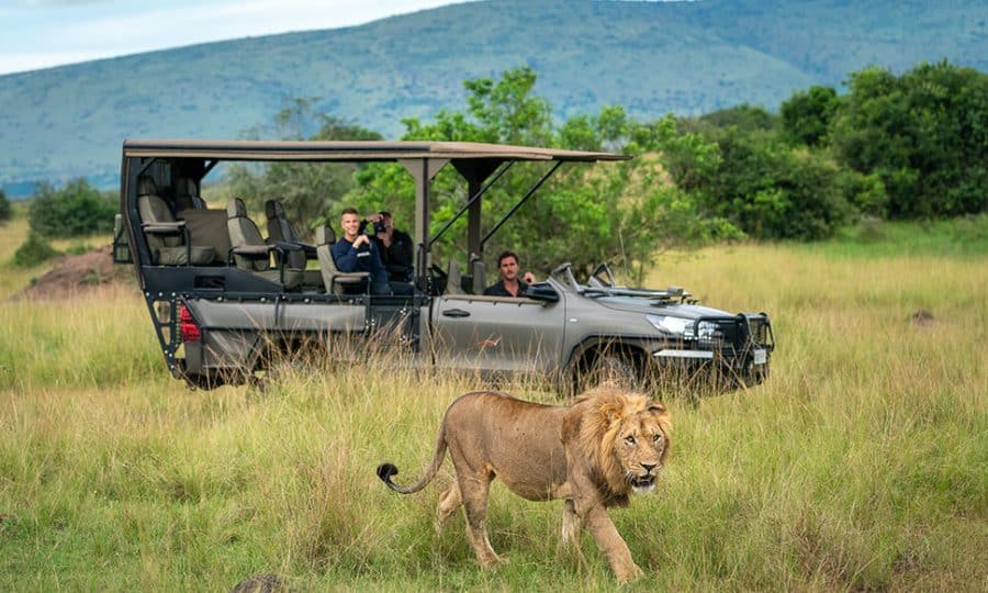 Lion sighting Rwanda safari
