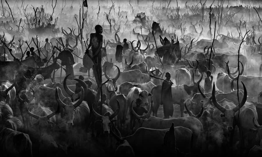 Mankind © David Yarrow
