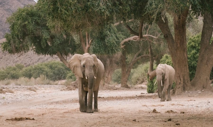 Prince William Visits Tusk Projects in Namibia