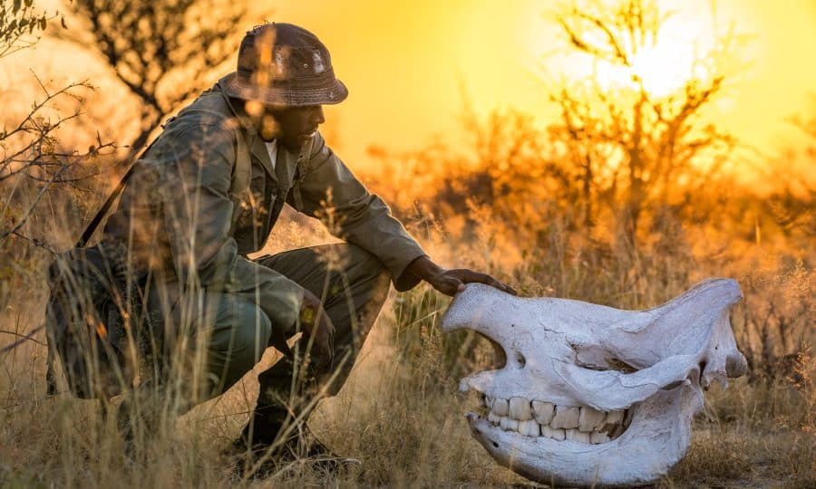Protecting Rangers to Protect Wildlife – Whitepaper Released