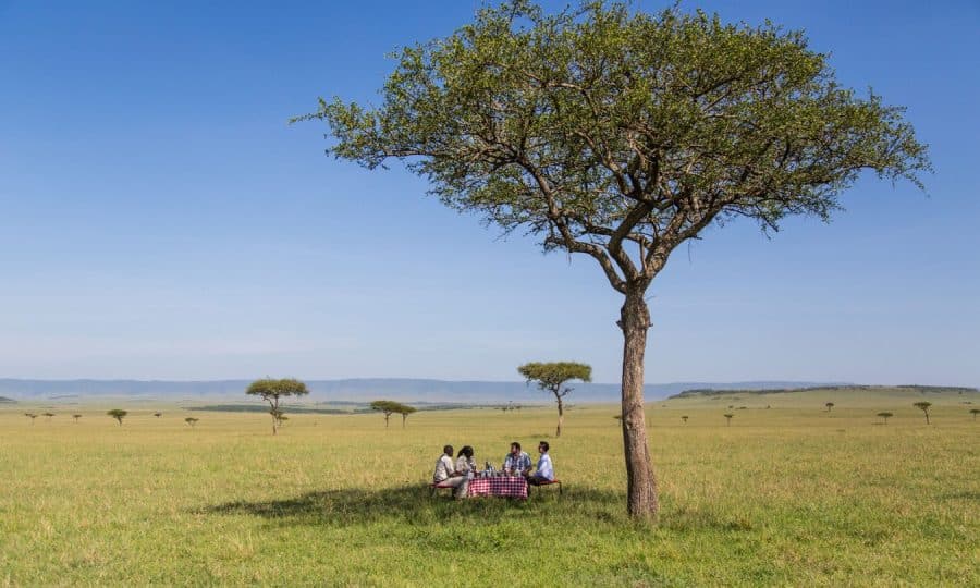 Maasai-mara-picnic