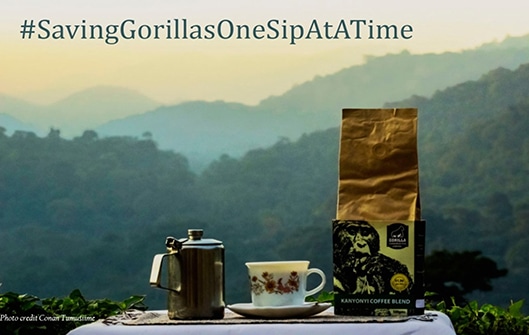 Gorilla-Conservation-Coffee Tusk store
