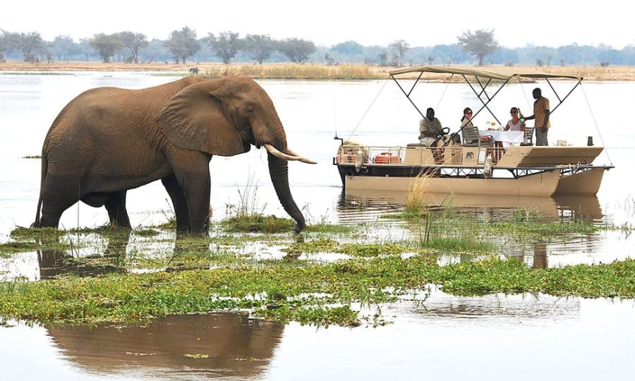 River boat and elephant Zambia