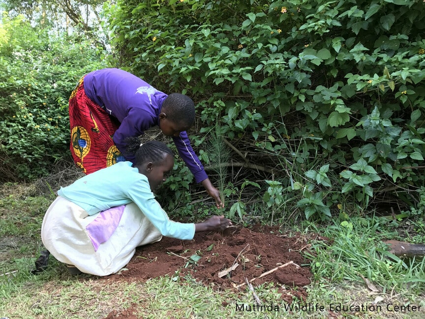 PACE children caring for trees