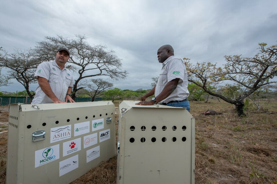Maputo National Park