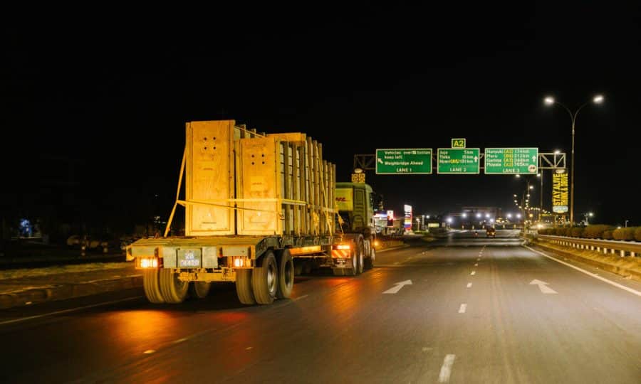 Mountain Bongo Translocation 2025