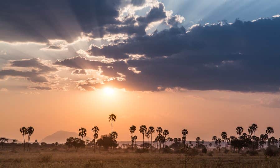 Kigelia Camp - Nomad Tanzania - Ruaha National Park