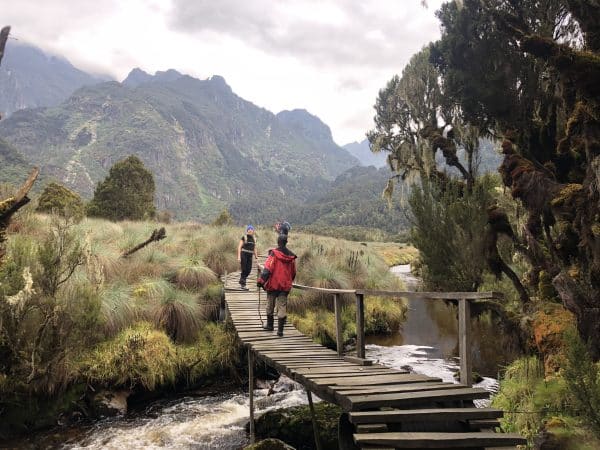 Join Generation Tusk