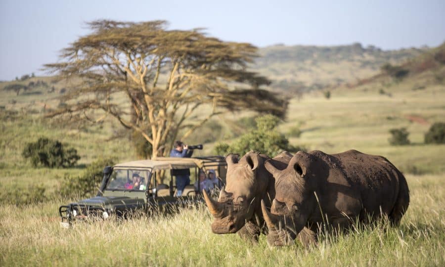 Rhino sighting on Kenya safari