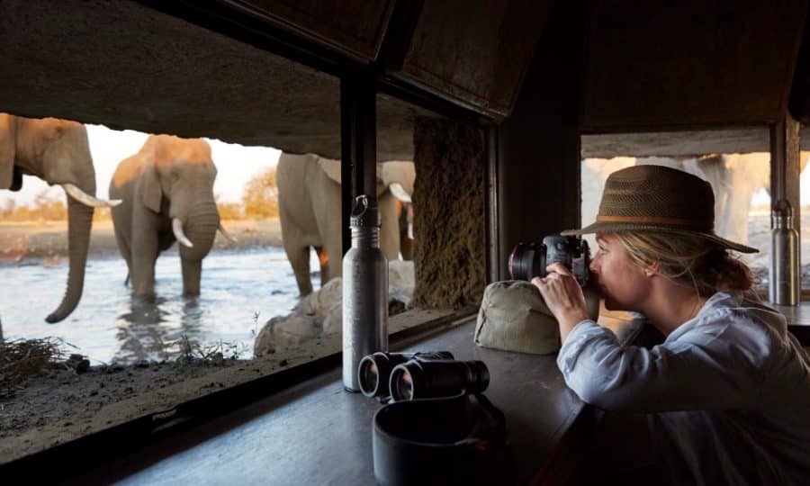 Singita Malilangwe House Hide