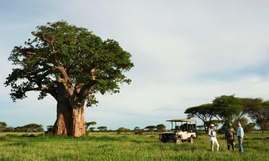 singita-pamushana-game-drive