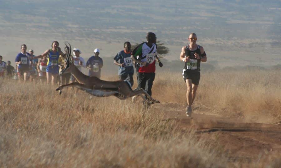 Safaricom Marathon Runners and Impala. With Thanks to Emma Craig