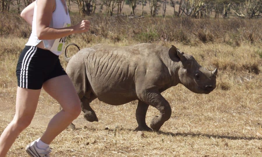 Safaricom Marathon Runner and Rhino