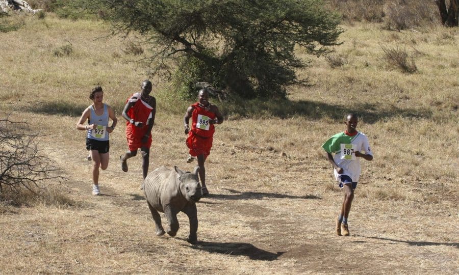 Safaricom Marathon Runners and Rhino