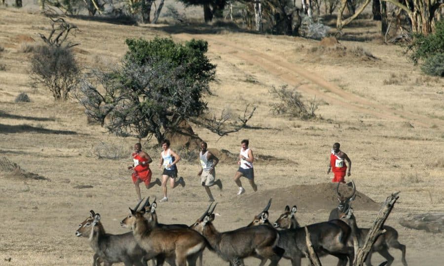 Safaricom Marathon Running with Waterbuck