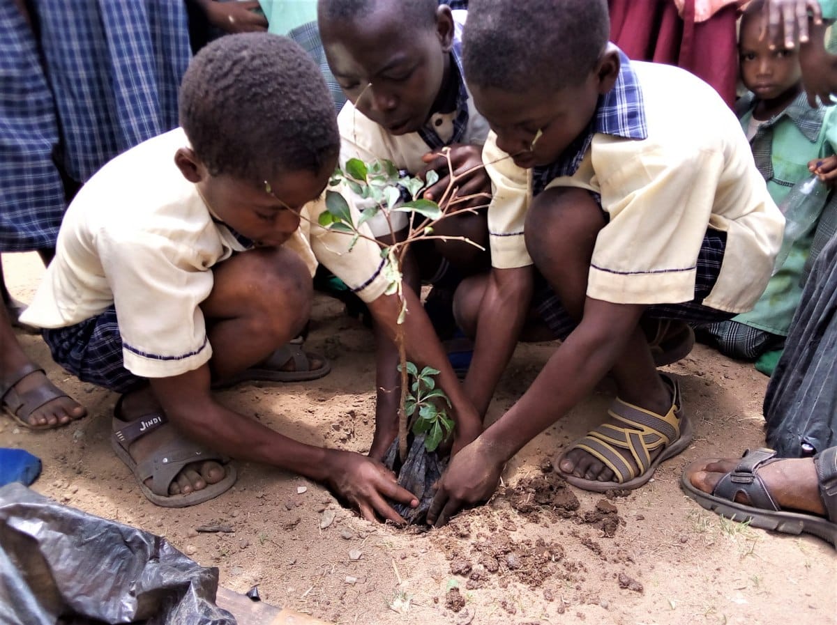 SW Niger Delta Forest Ikemeh schoolchildren engaged in treeplanting